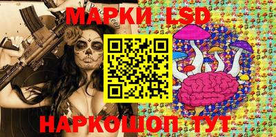 молекула духа Будённовск
